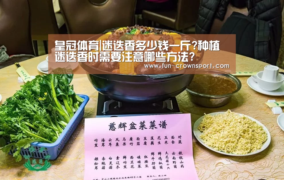皇冠体育官网