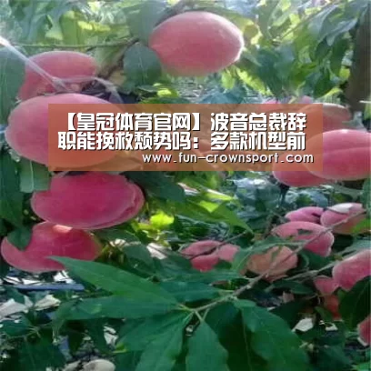 【皇冠体育官网】波音总裁辞职能挽救颓势吗:多款机型前景都不乐观(图1) 皇冠体育