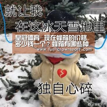 皇冠体育-现在蜂箱的价格多少钱一个?蜂箱有哪些种类?如何制作?(图4) 皇冠体育平台
