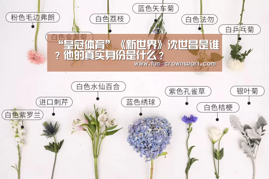 “皇冠体育”《新世界》沈世昌是谁?他的真实身份是什么?(图3) 皇冠体育