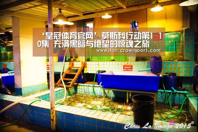 皇冠体育