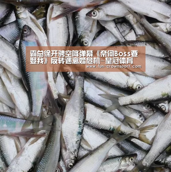 皇冠体育平台